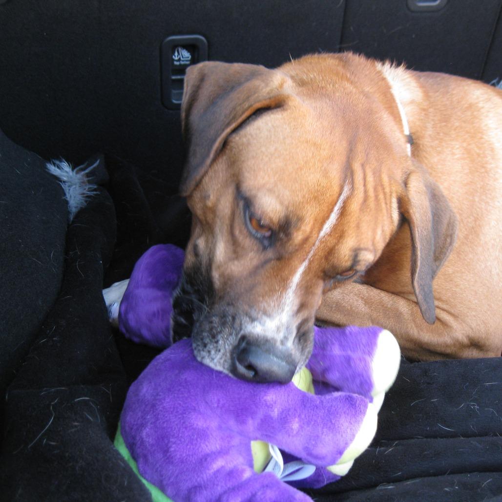 Bruno Mars — thumbnail 3