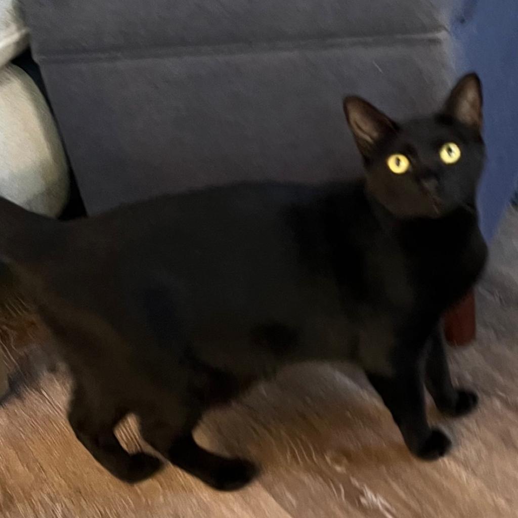 Lisa H — thumbnail 2