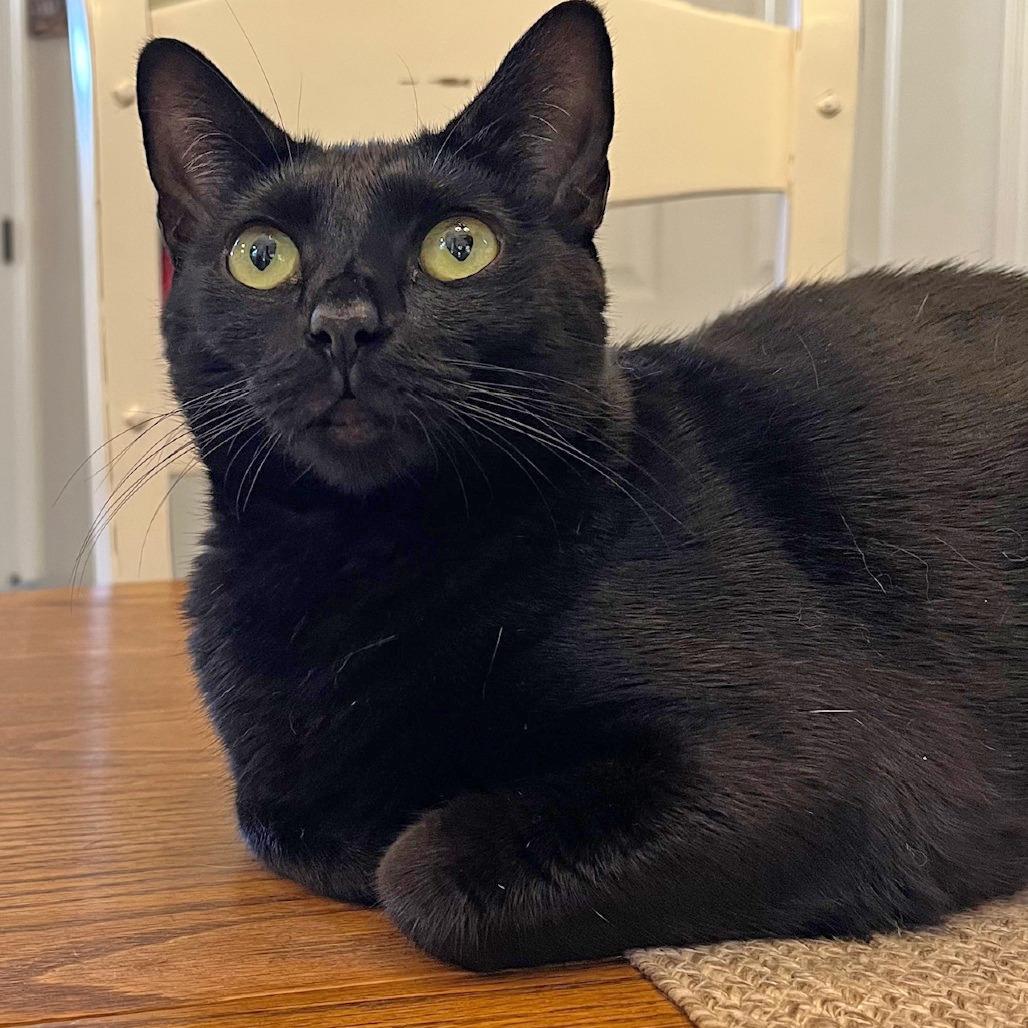 Lisa H — thumbnail 3