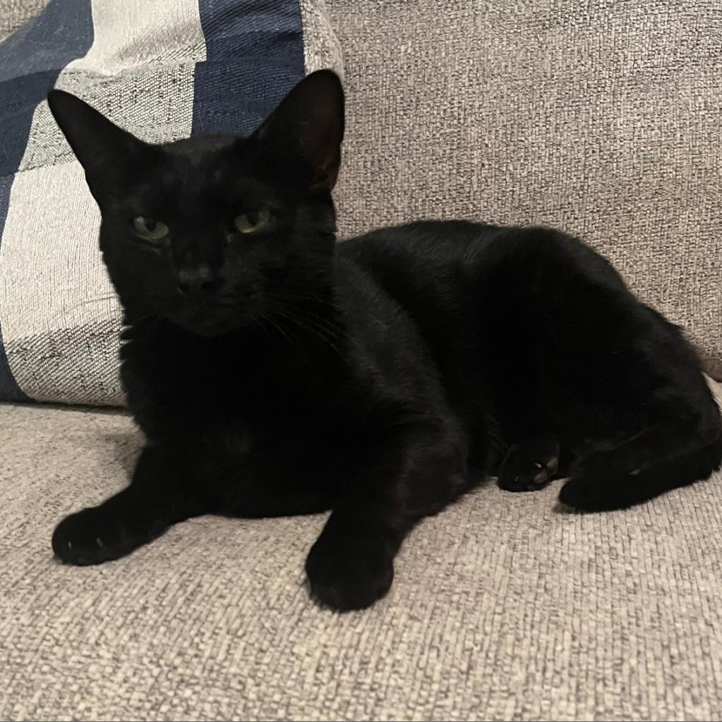 Lisa H — thumbnail 4