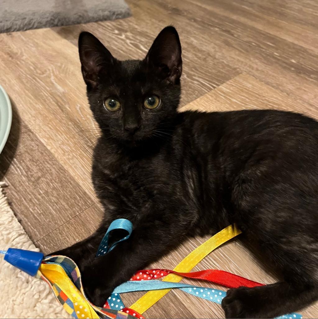 Lisa H — thumbnail 5