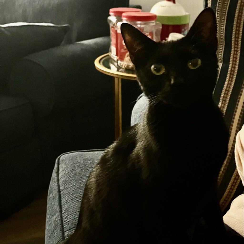 Lisa H — thumbnail 6