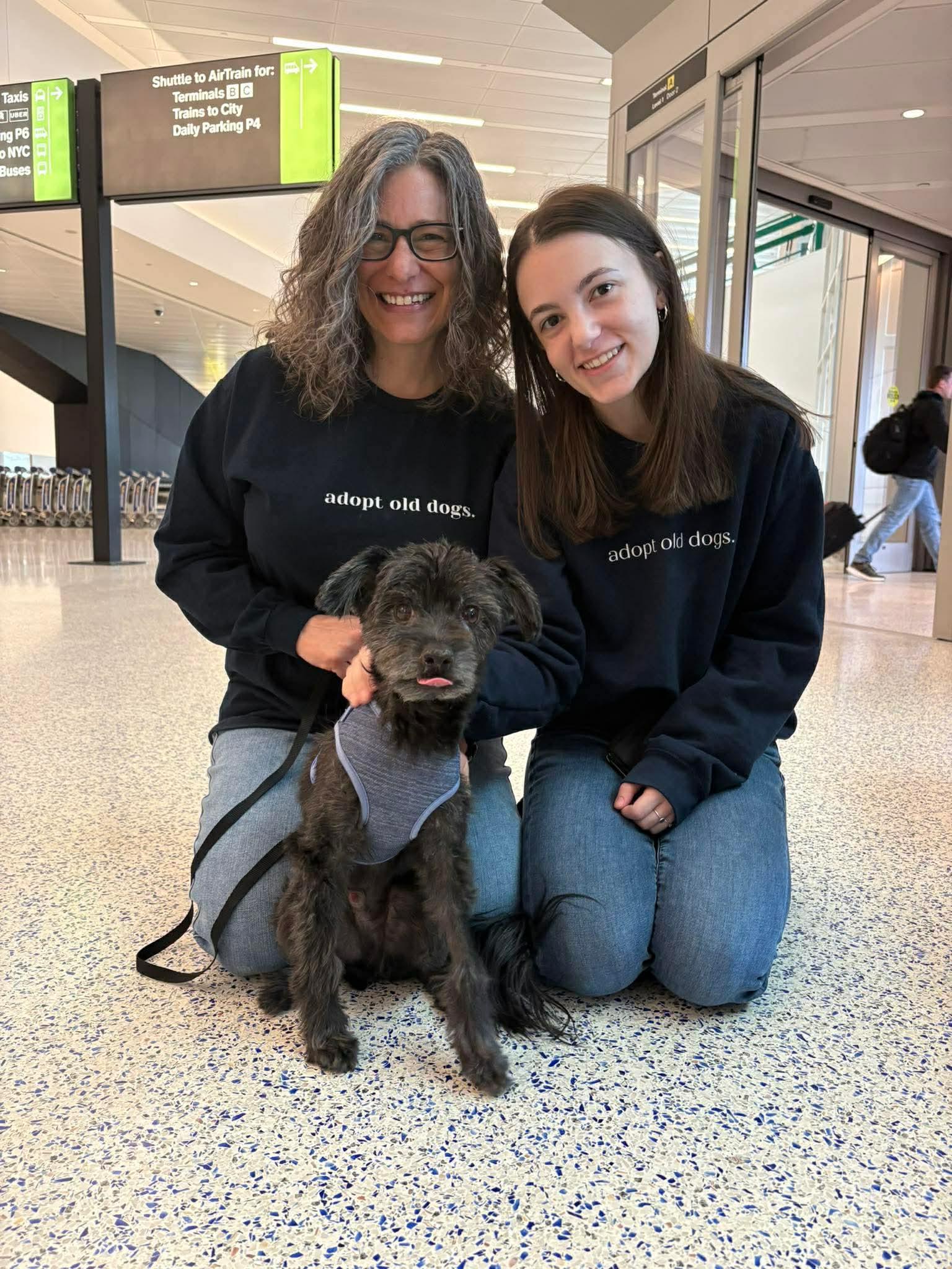 Enlarge Oxford TX, a Adopted Schnauzer in Boonton, NJ image 3/3