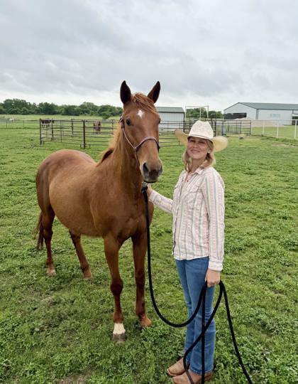 Enlarge Red, a Adoptable mixed breed in Fort Worth, TX image 2/3