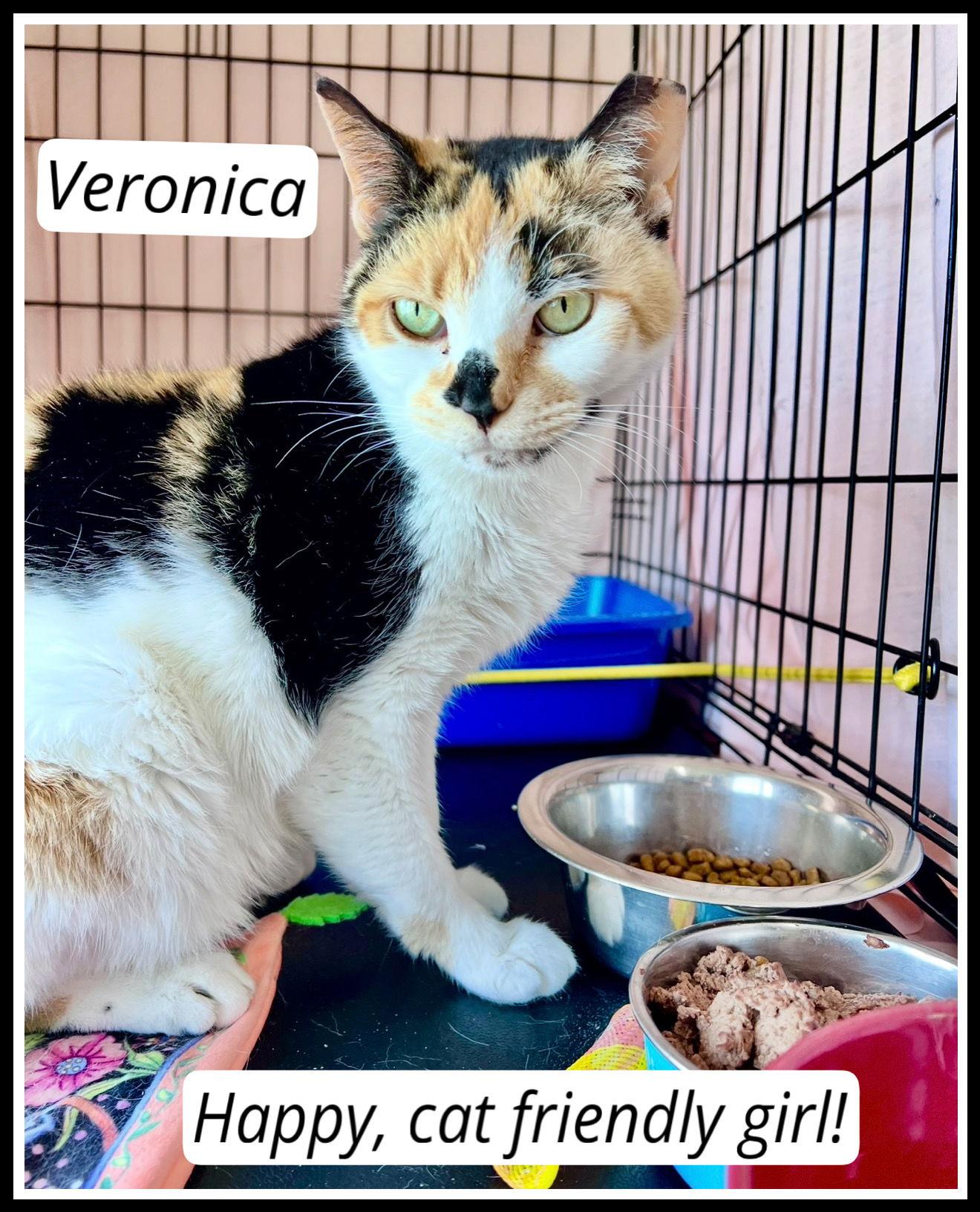 Veronicawillow Grove Ps