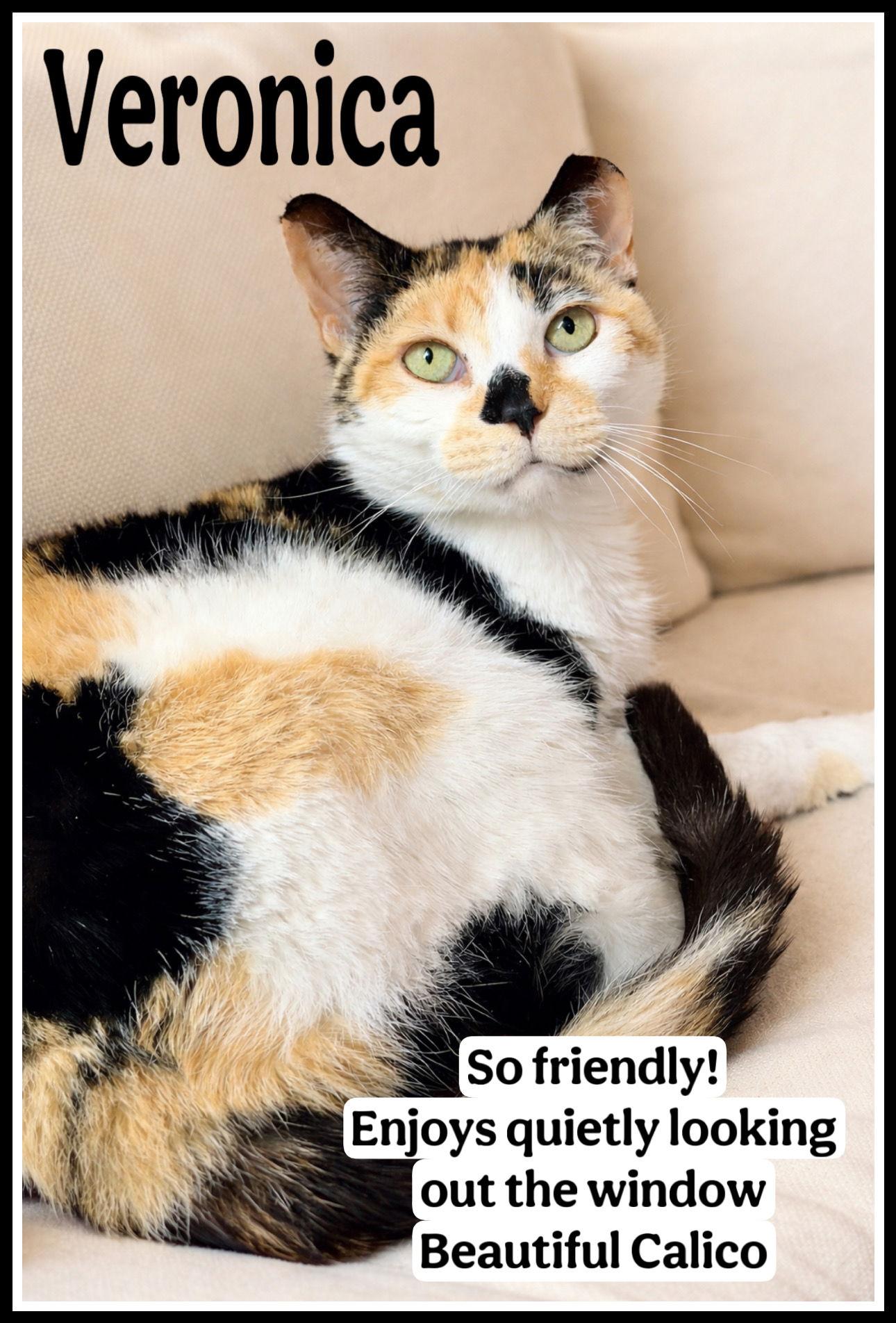 Veronicawillow Grove Ps thumbnail 3