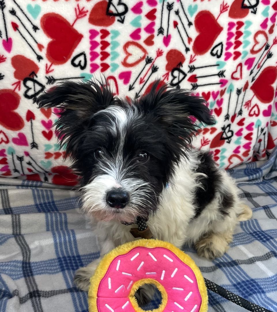 Benny