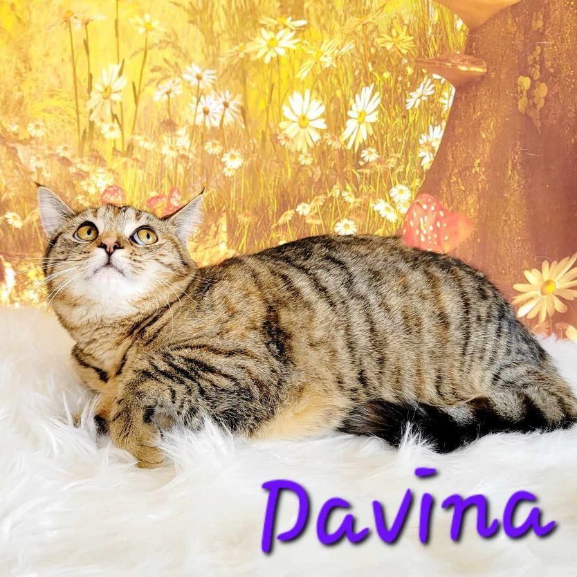 Davina thumbnail 2