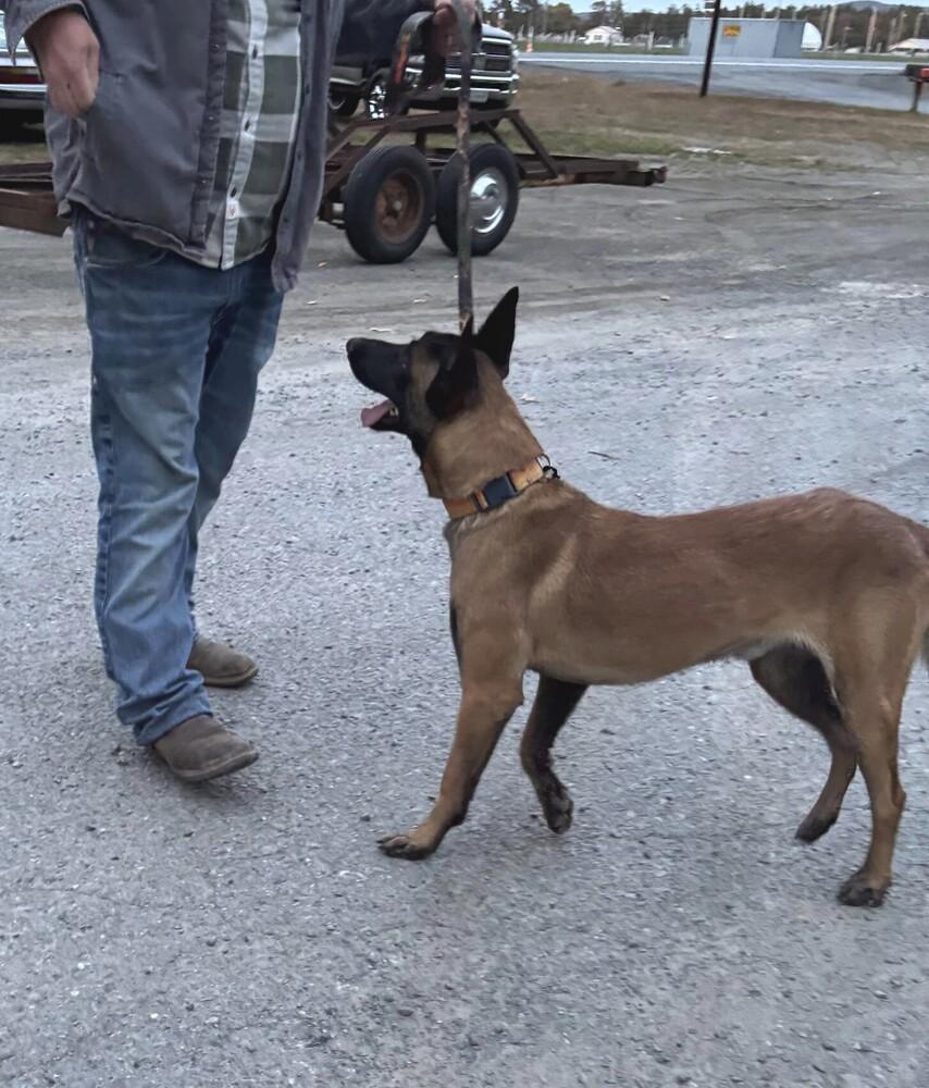 Whiskey  Located In thumbnail 3