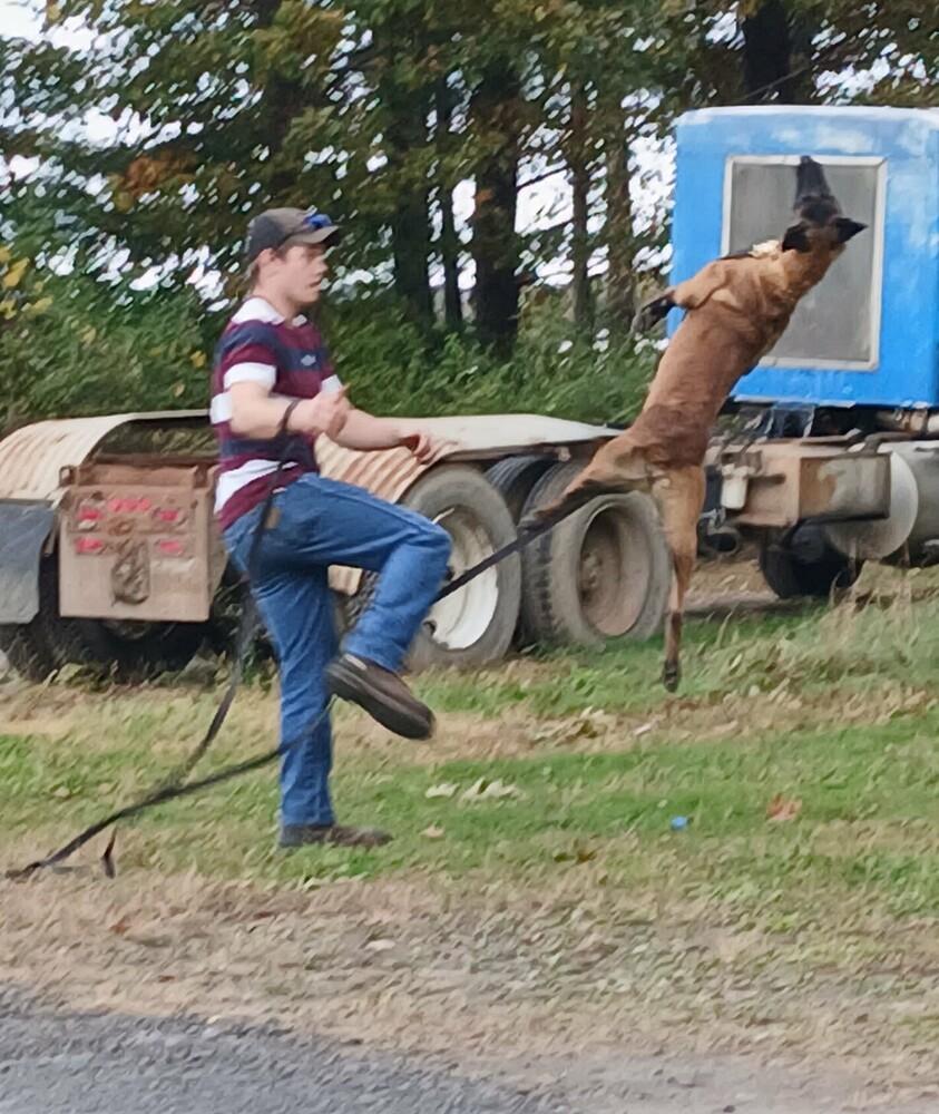 Whiskey  Located In thumbnail 4