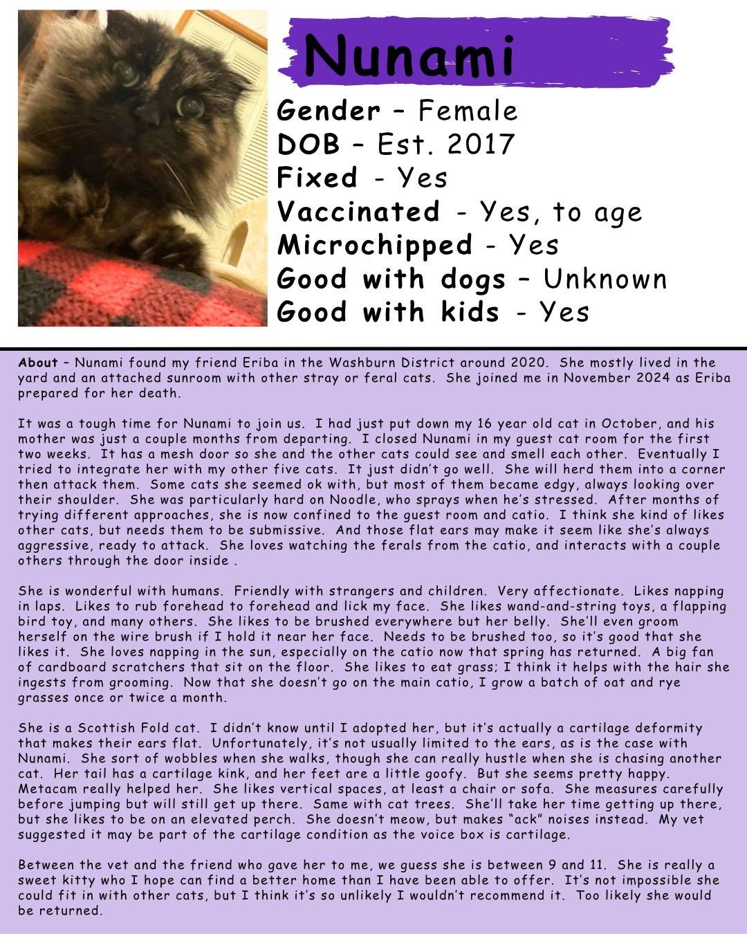 Enlarge Nunami, a ADOPTABLE mixed breed in Eugene, OR image 1/1