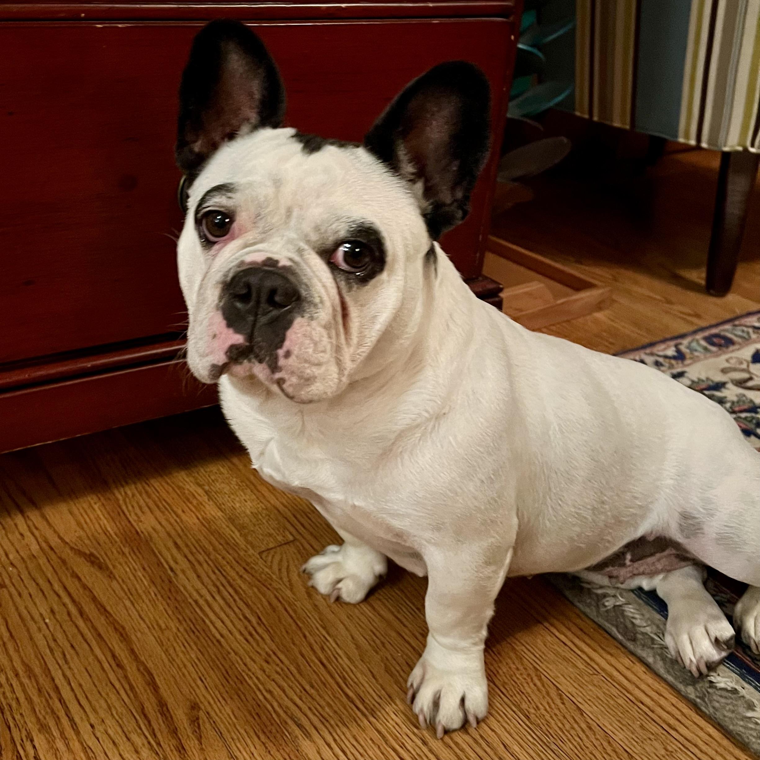 Ethel