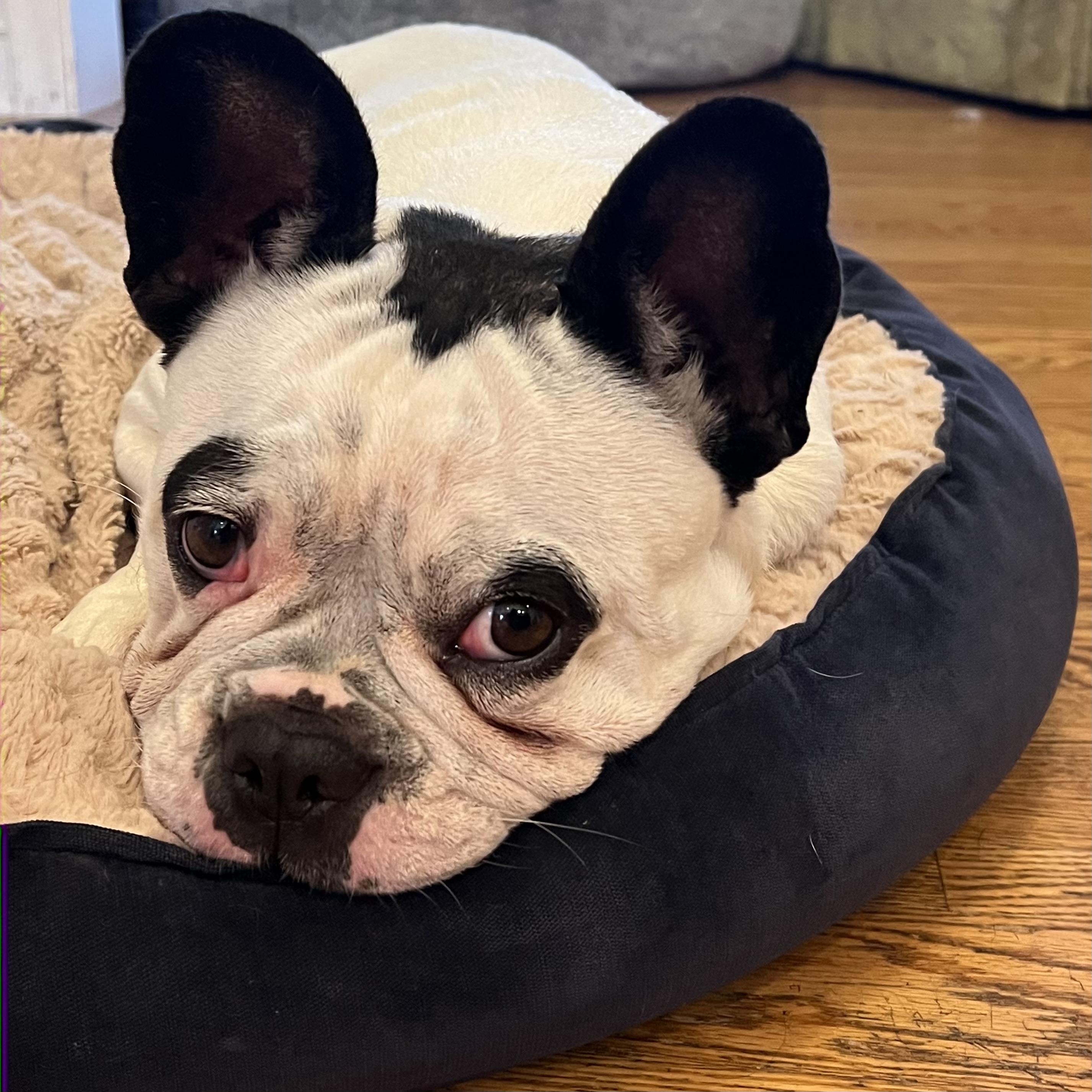 Ethel