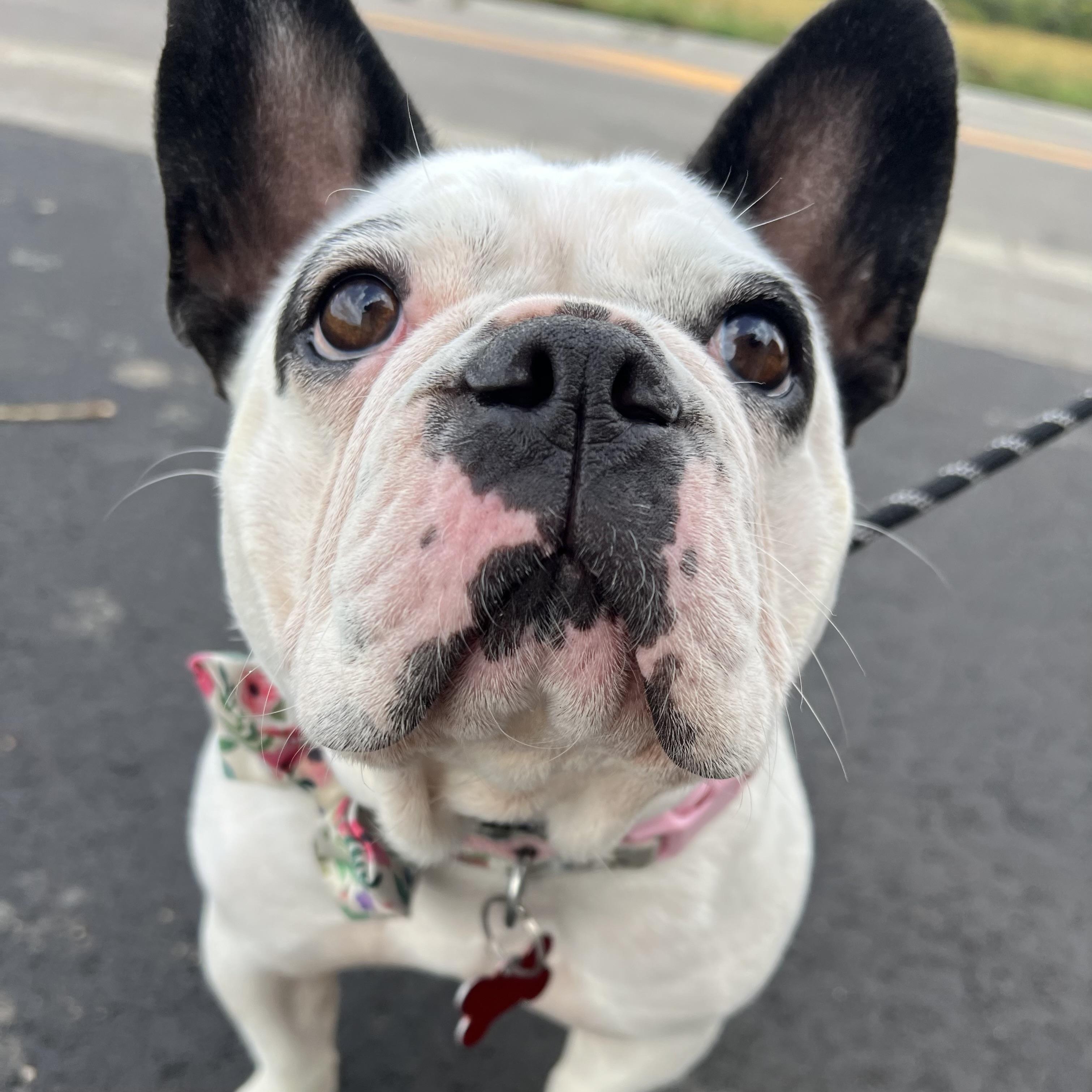 Ethel