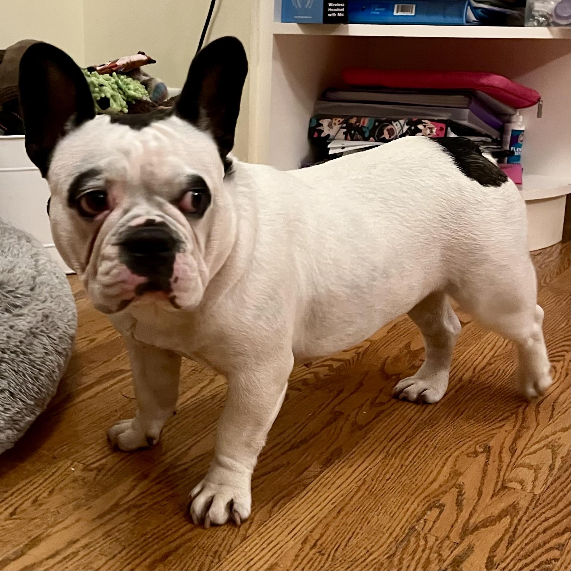 Ethel