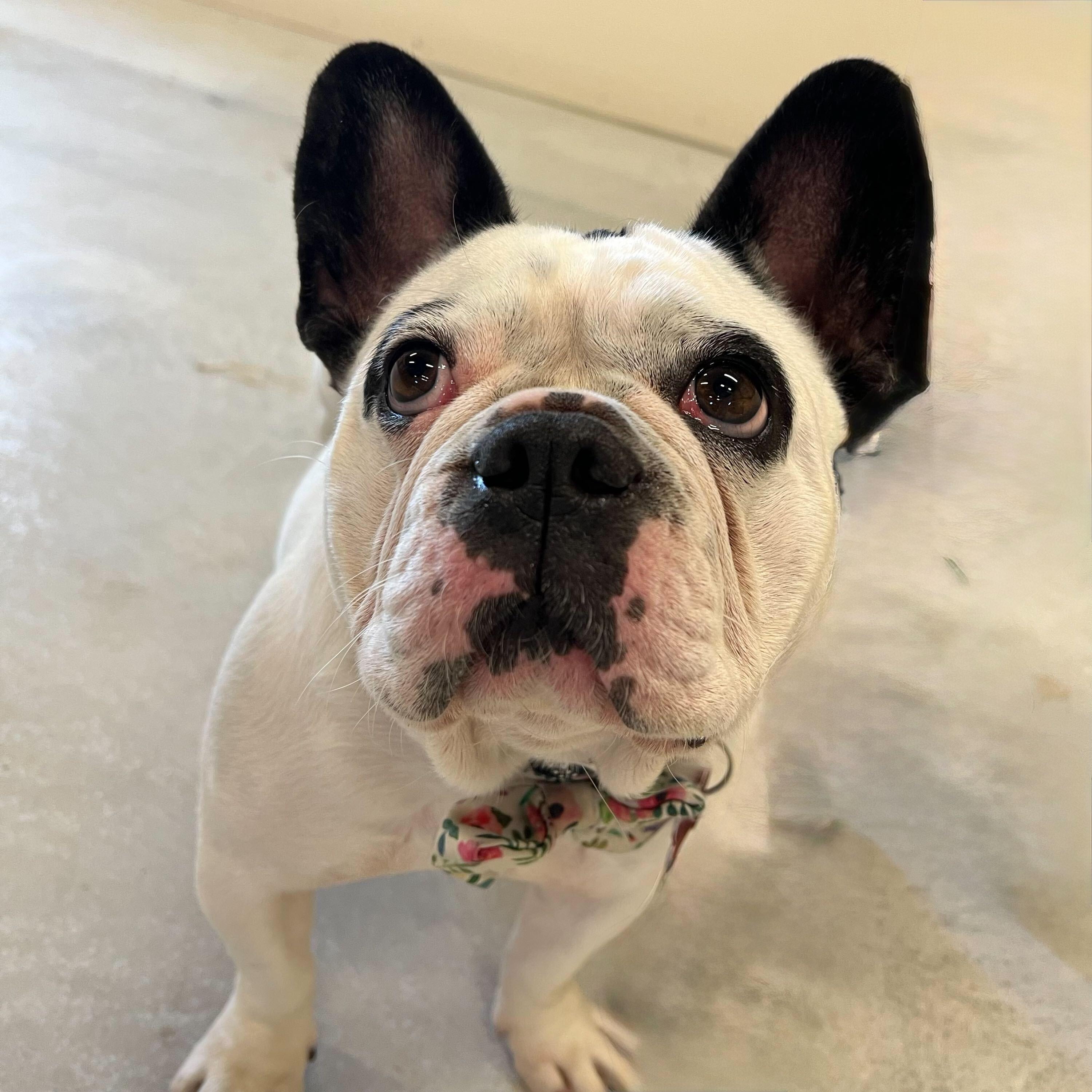 Ethel