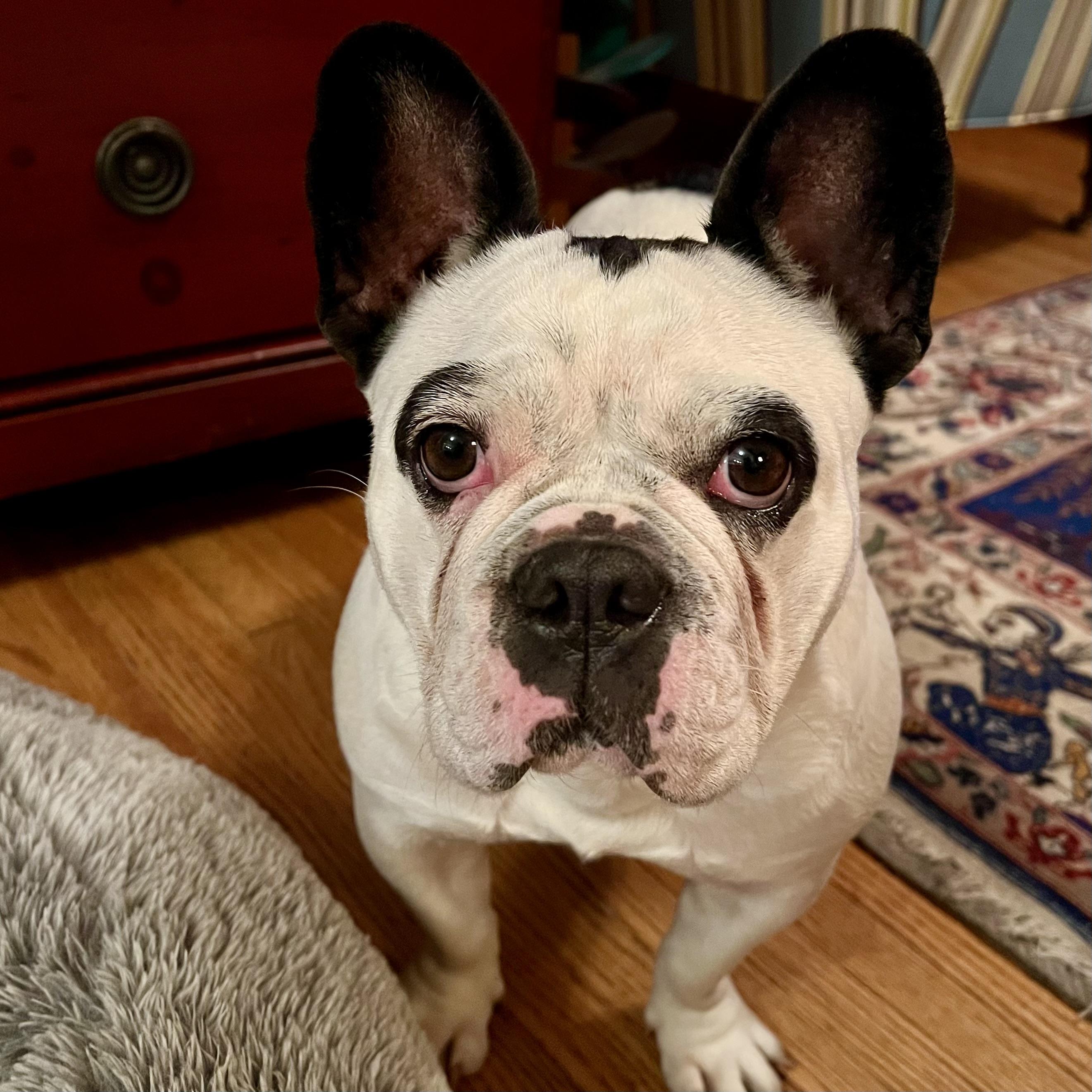 Ethel