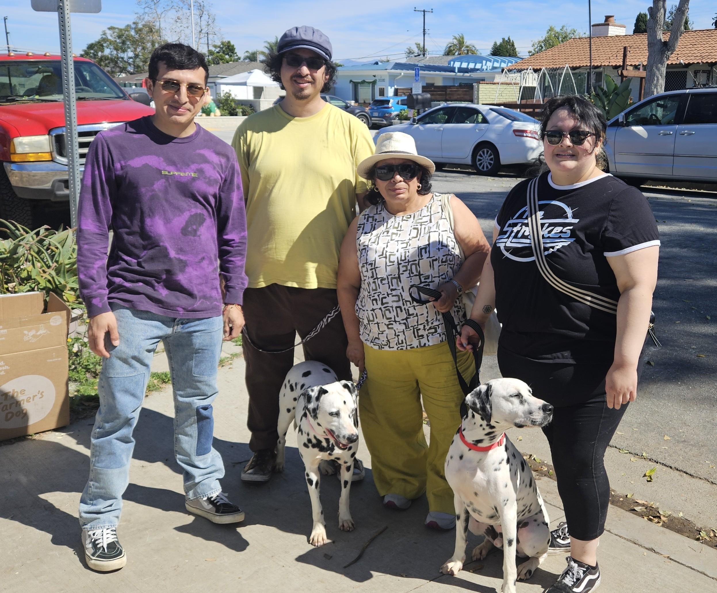 Enlarge Carrie Adopted with Juno, an adopted Dalmatian in Newport Beach, CA image 1/1