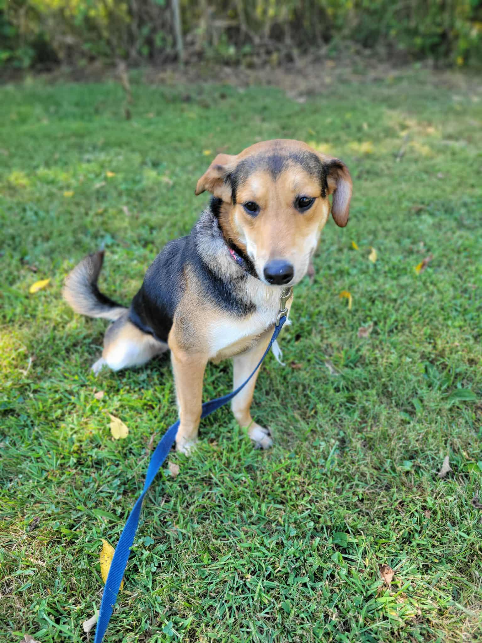 Fiona