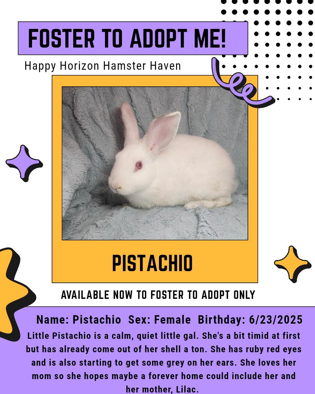Pistachio