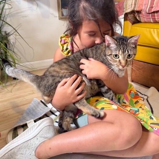 Megan the Leash Walking Cat