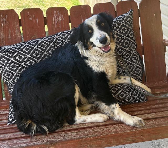 Hazel Talent — thumbnail 2