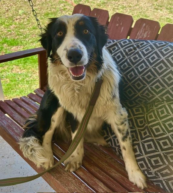 Hazel Talent — thumbnail 3