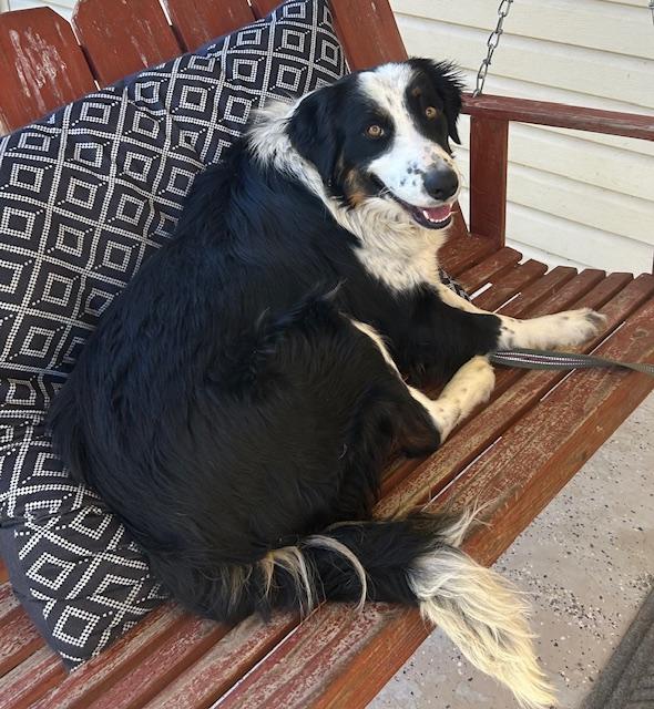 Hazel Talent — thumbnail 5