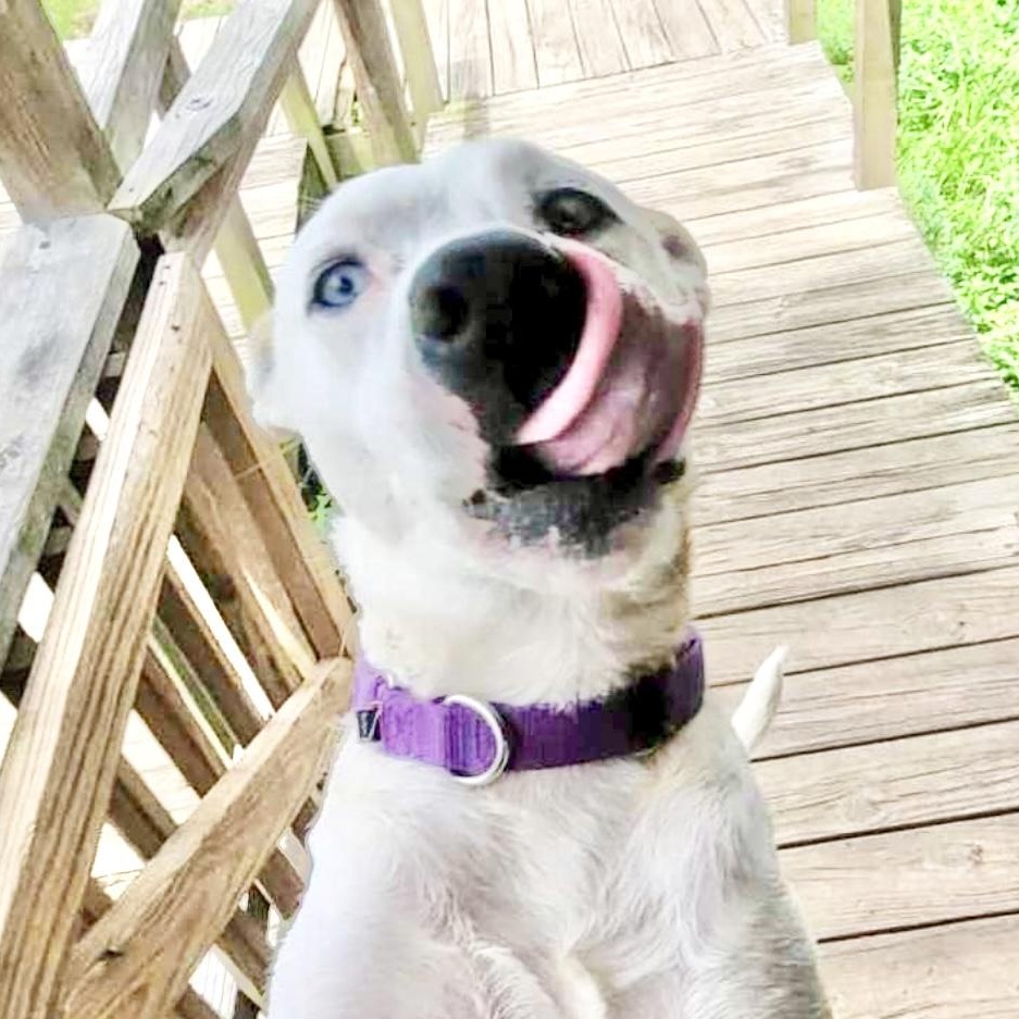 Luna