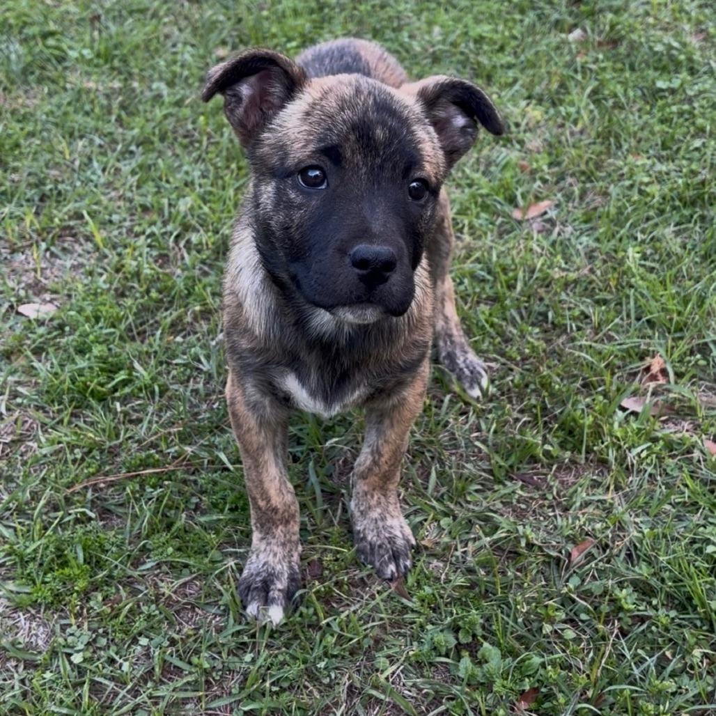 Mila — thumbnail 2