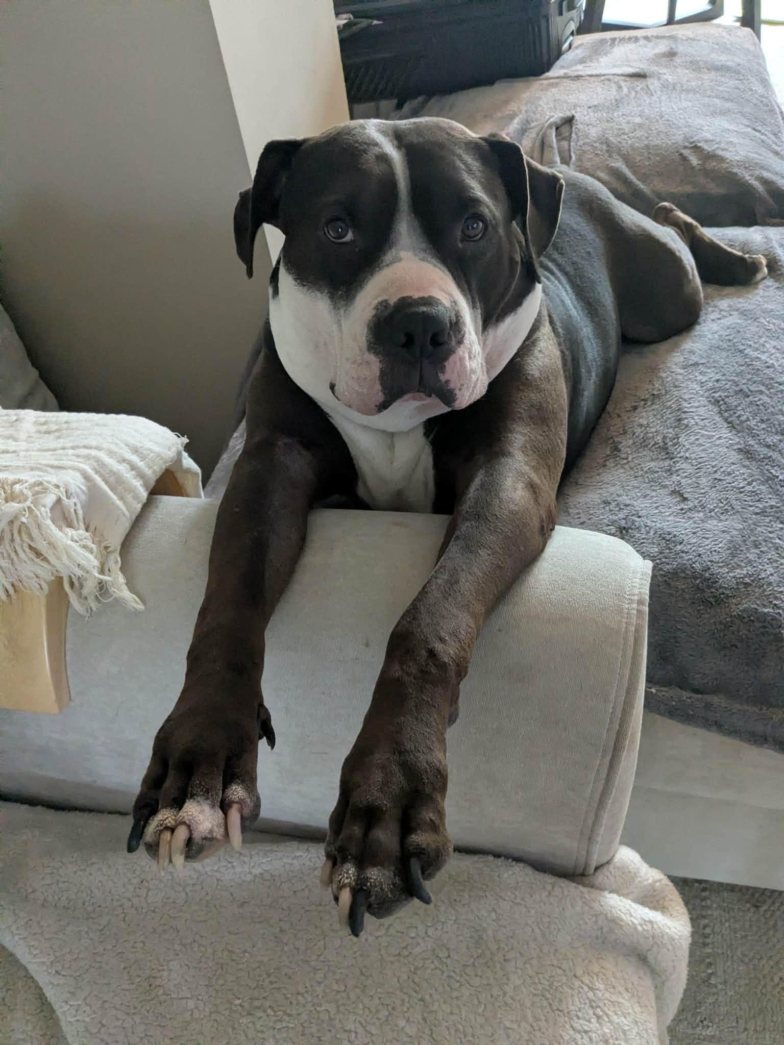 Rilo Gravy — thumbnail 2