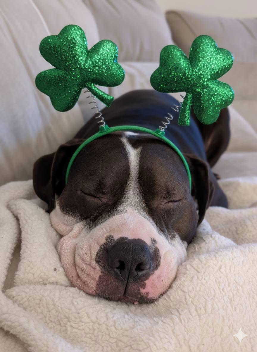 Rilo Gravy — thumbnail 3