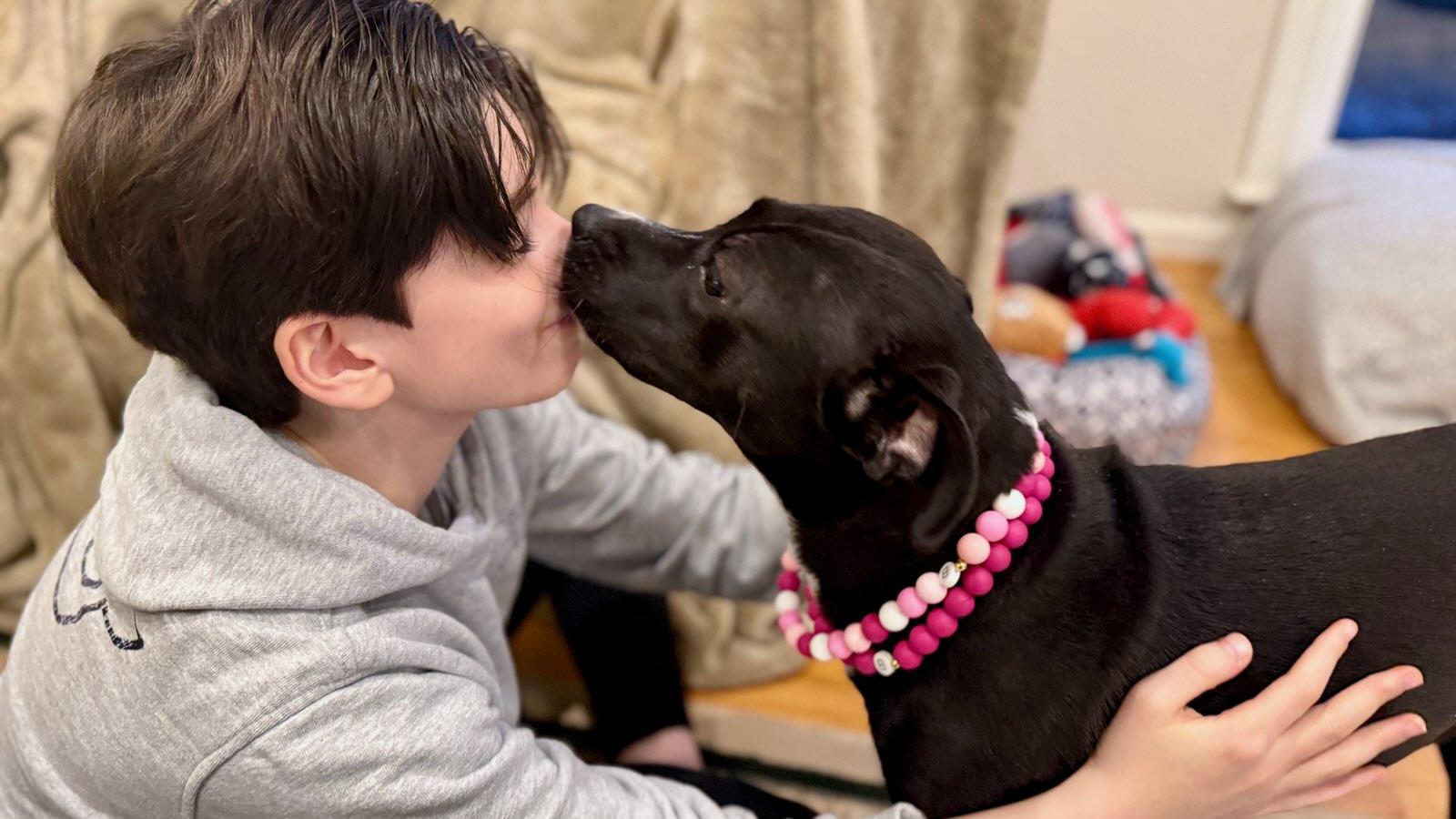 Enlarge Hailey, an adopted mixed breed in POTOMAC, MD image 2/5