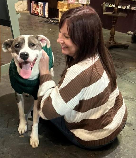 Enlarge Sammy, a Adoptable Catahoula Leopard Dog in Carrollton, GA image 2/3