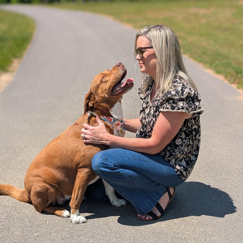 Enlarge Phoenix, an adoptable mixed breed in Helena, AL image 4/6