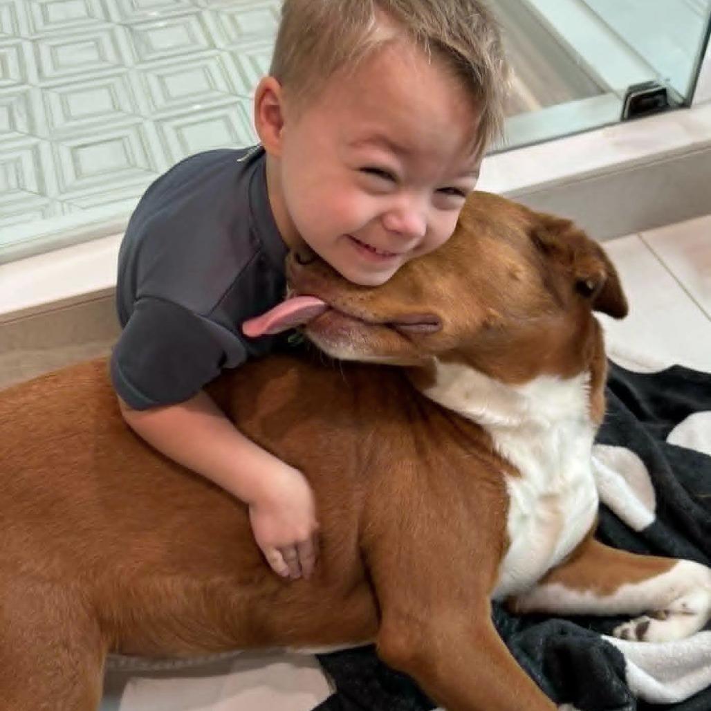 Enlarge Phoenix, an adoptable mixed breed in Helena, AL image 2/6