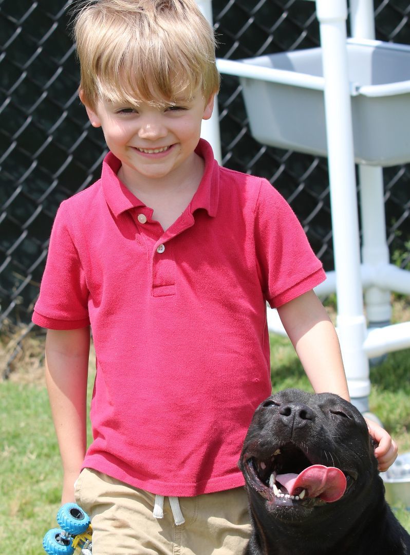 Enlarge Sarafina, a Adoptable mixed breed in Rossville, TN image 6/6