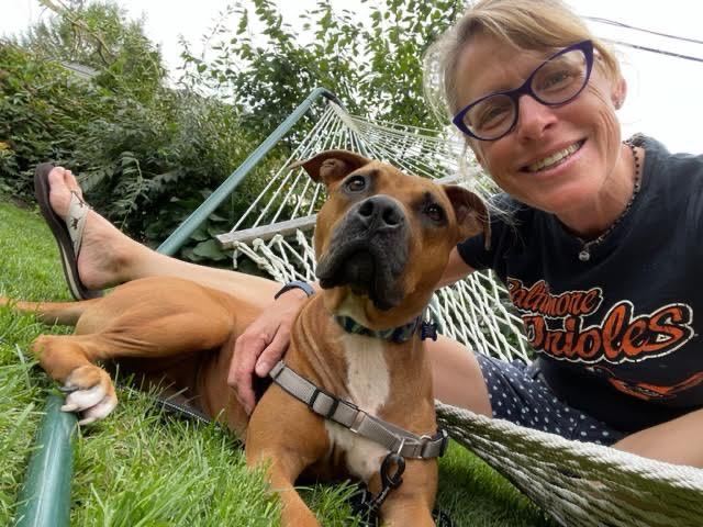 Enlarge Billy, a Adopted mixed breed in Essex, MD image 4/14