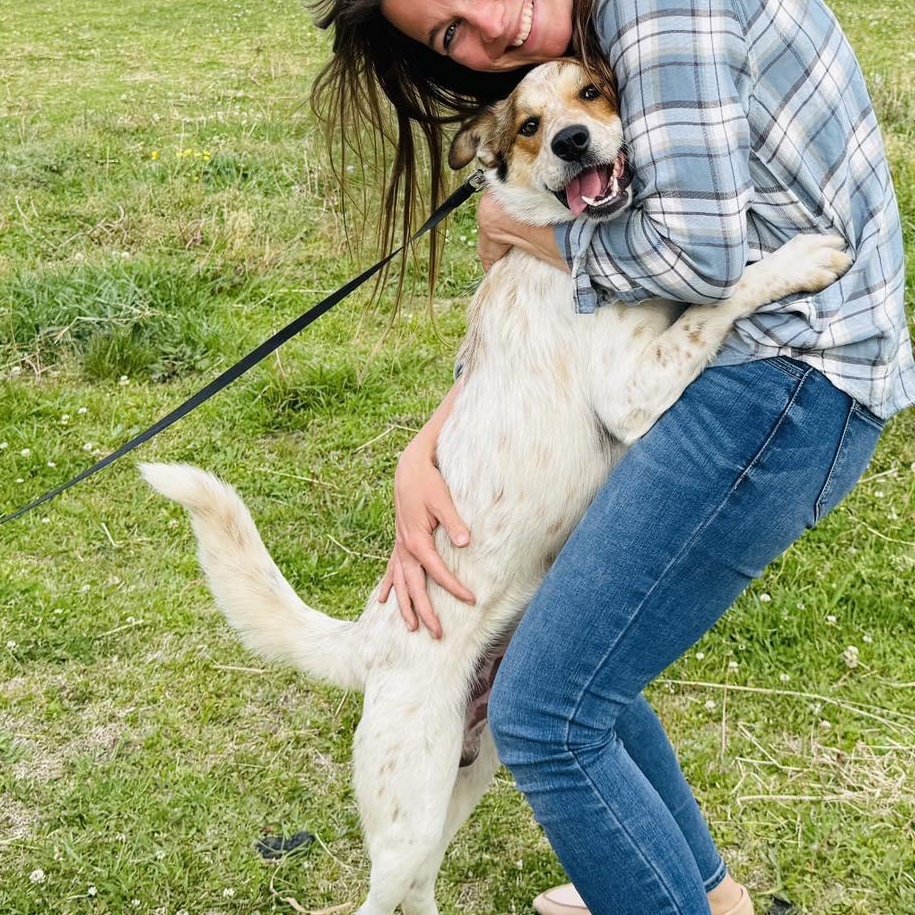 Koda photo