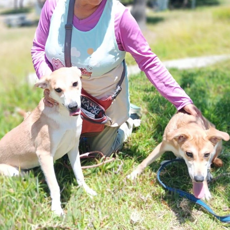 Enlarge Dina y Kina, a Adoptable Mixed Breed in Tijuana, BCN image 2/3