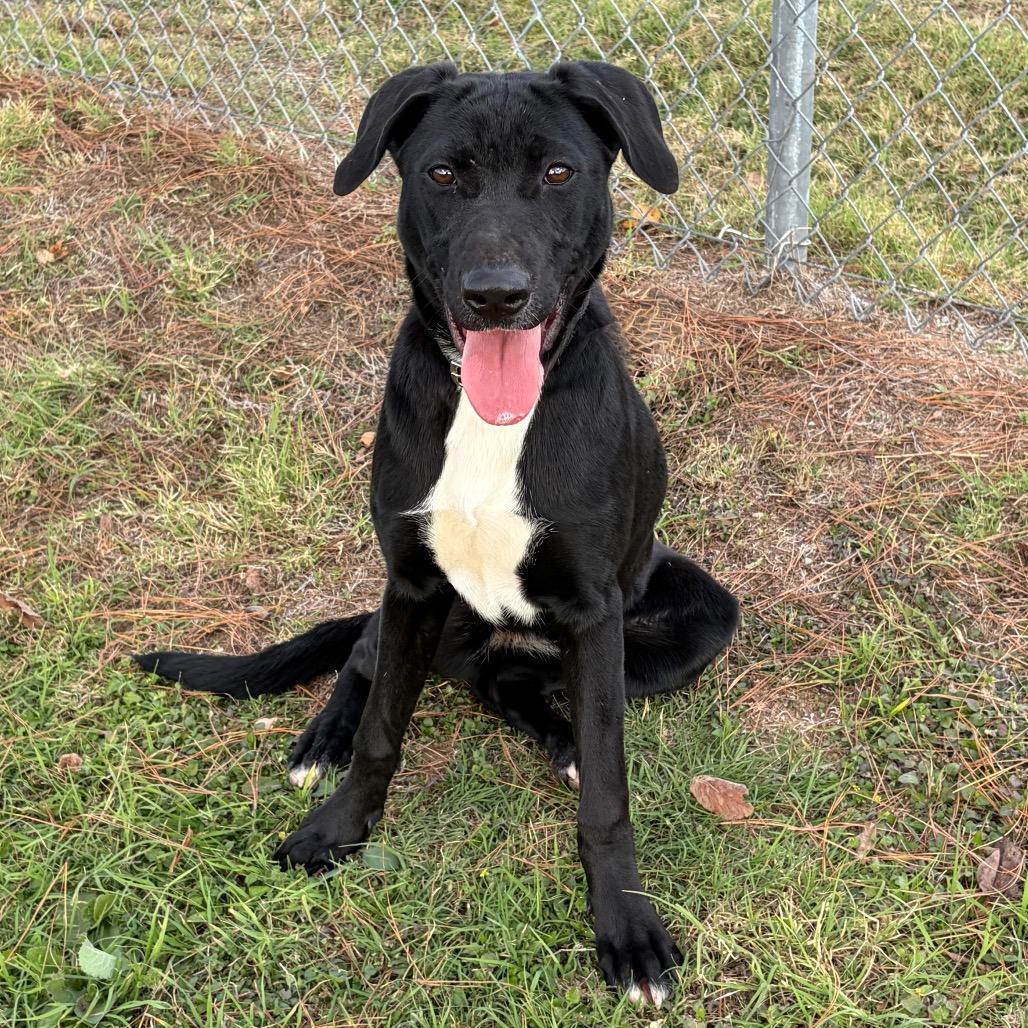 Virginia — thumbnail 2