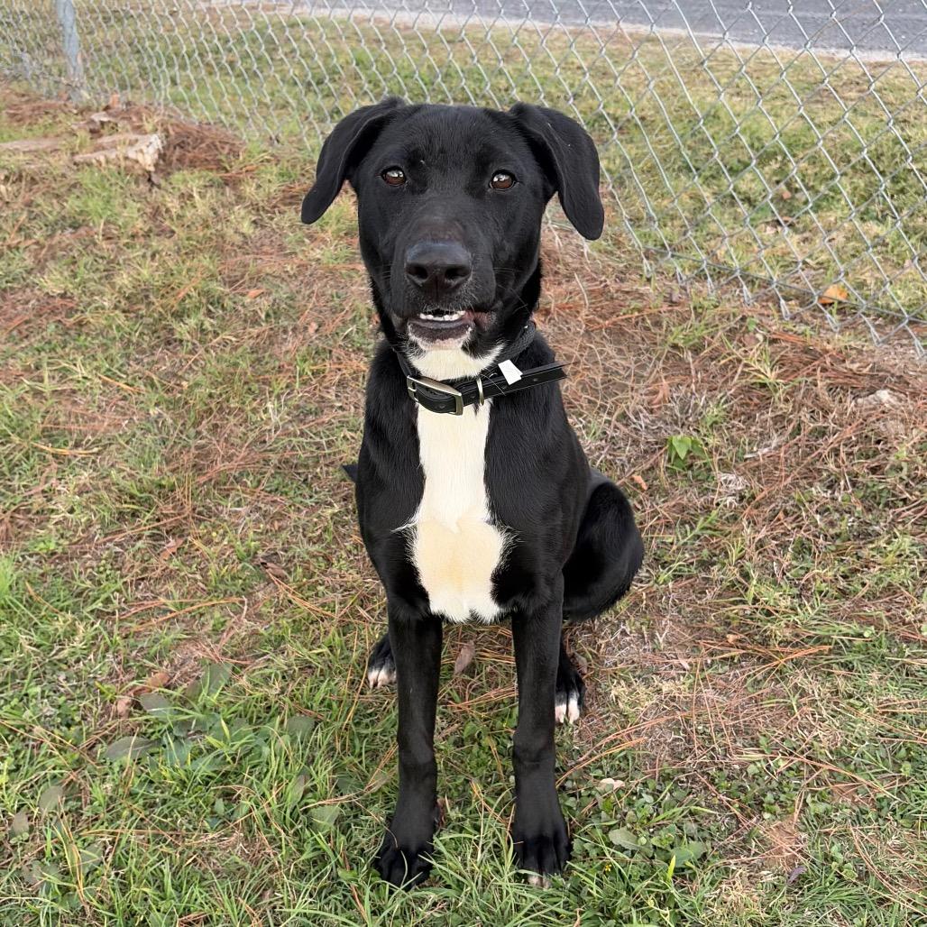 Virginia — thumbnail 3