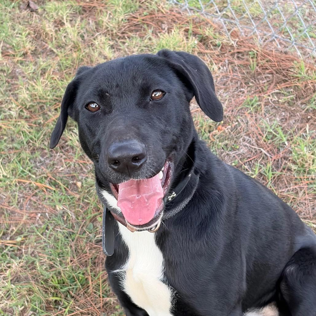 Virginia — thumbnail 4