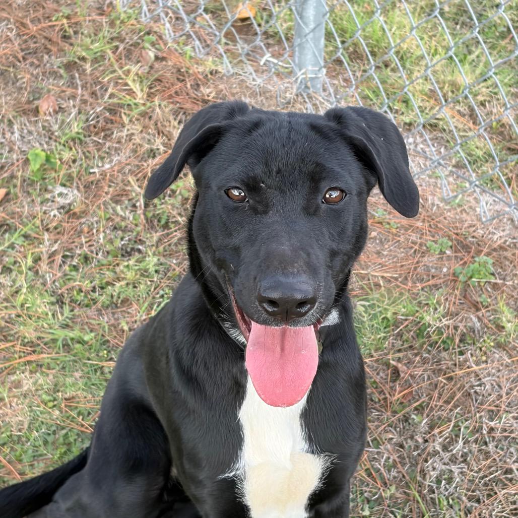 Virginia — thumbnail 6