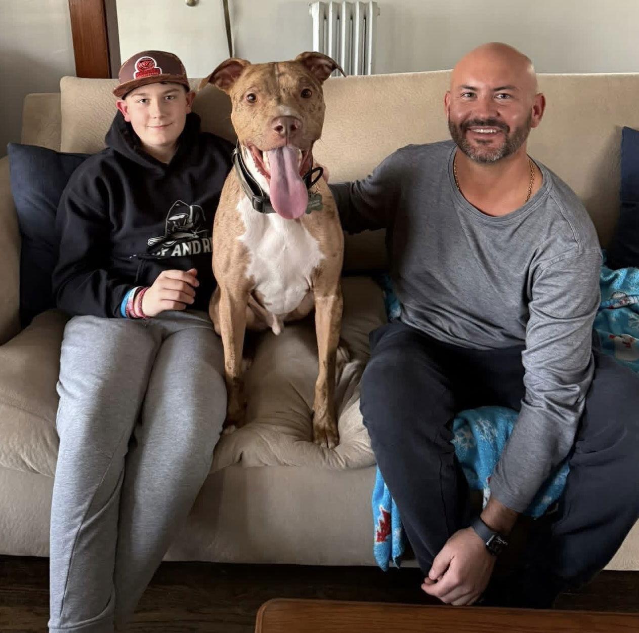 Enlarge Woody, a Adopted Catahoula Leopard Dog in Tonawanda, NY image 3/3