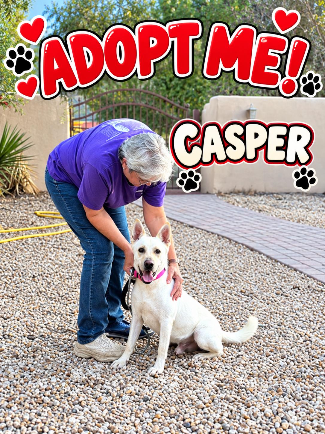 Enlarge Casper (a.k.a. Jim Beam), a Adoptable mixed breed in Farmington, MO image 3/6