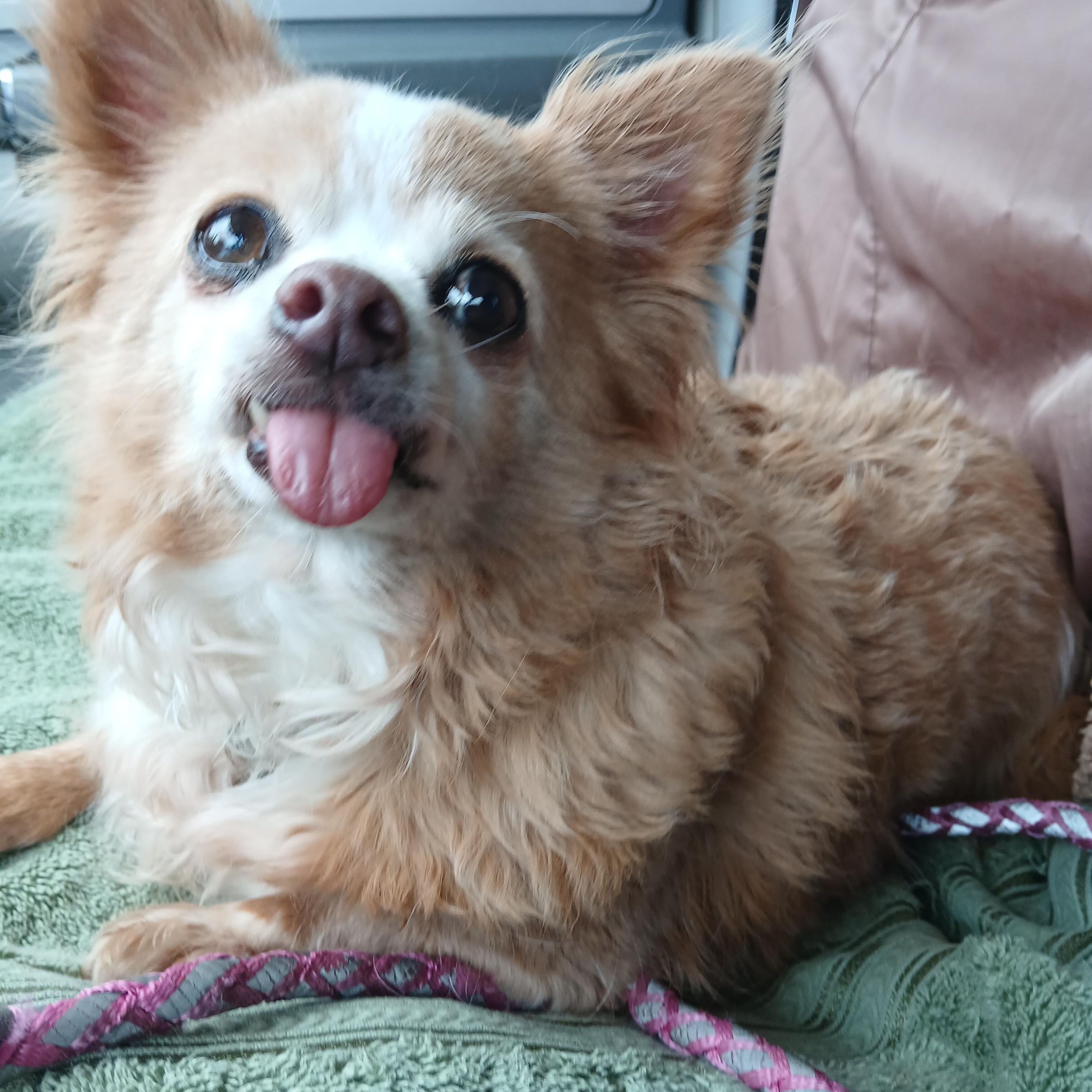 Betty