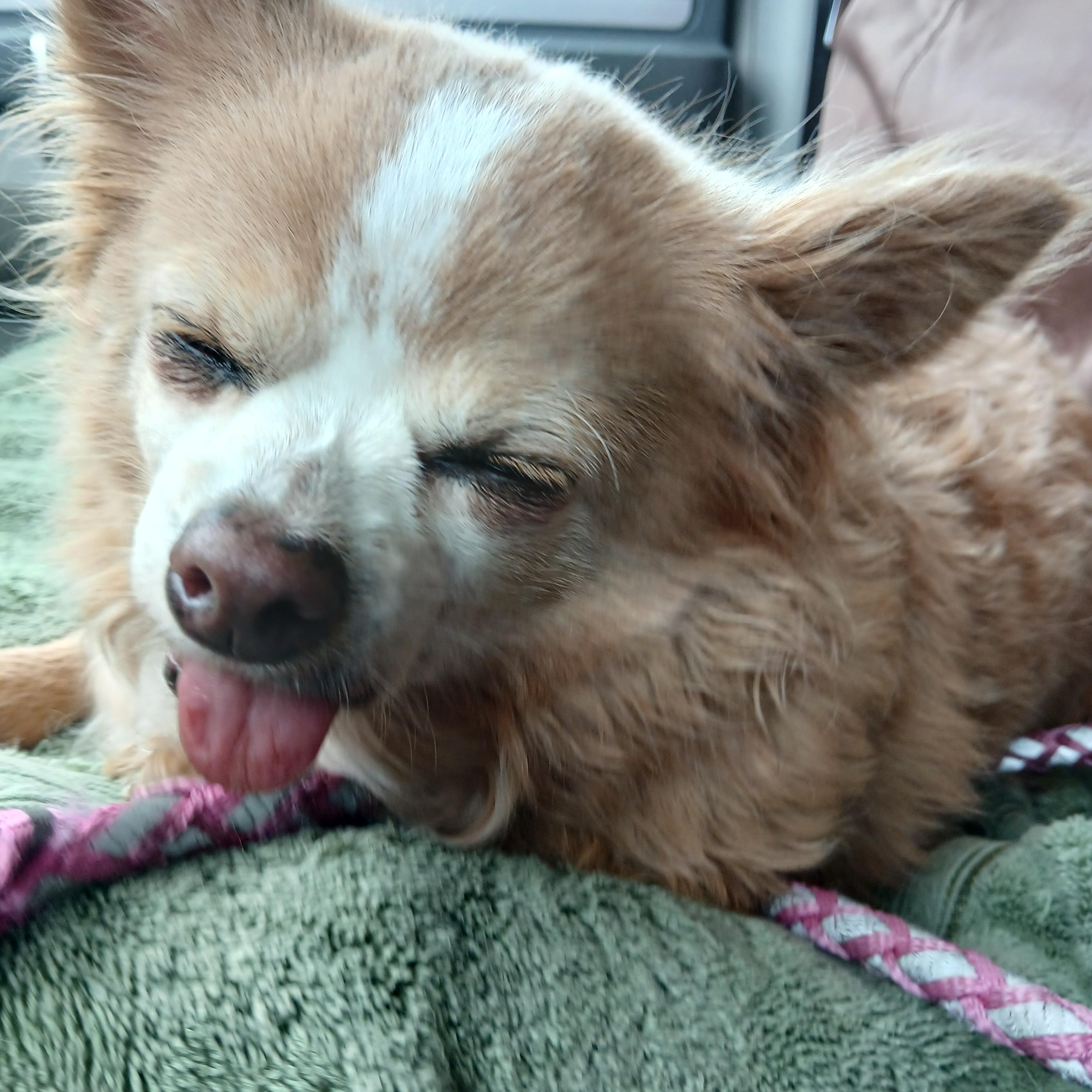 Betty photo 2