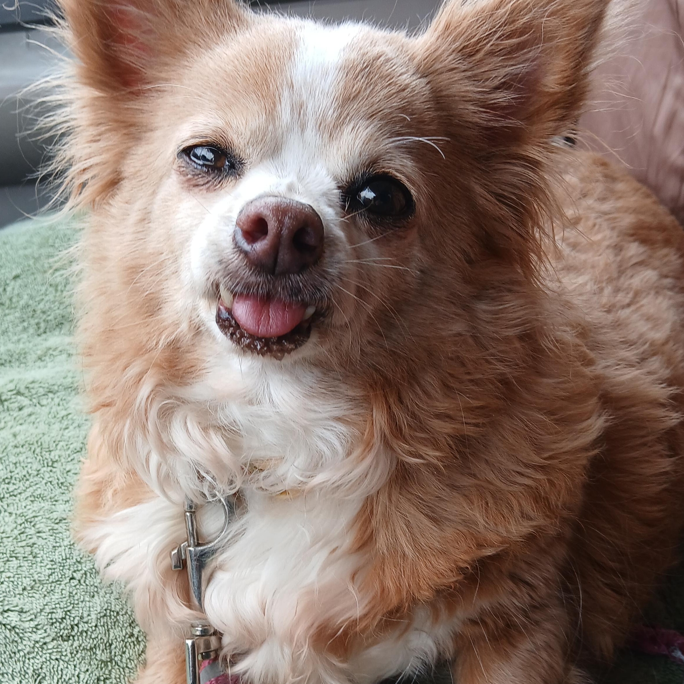 Betty photo 3