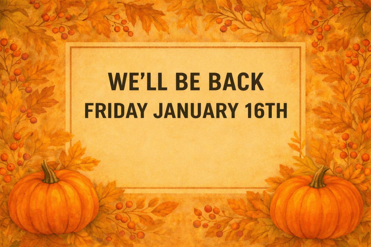 We'll Be Back January 16th 2026, ADOPTABLE, Adult Unknown African Grey.